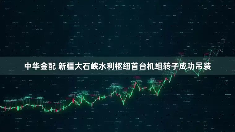 中华金配 新疆大石峡水利枢纽首台机组转子成功吊装