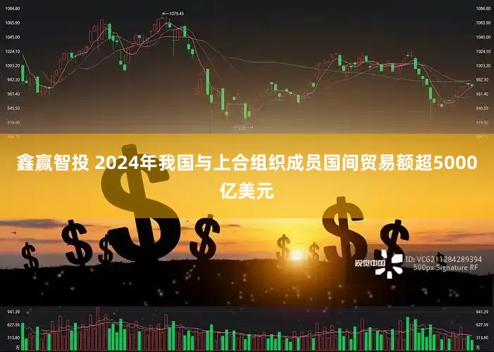 鑫赢智投 2024年我国与上合组织成员国间贸易额超5000亿美元