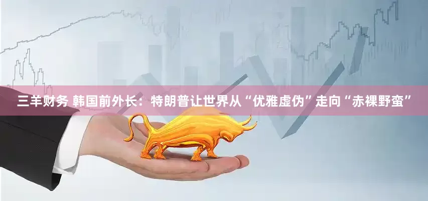 三羊财务 韩国前外长：特朗普让世界从“优雅虚伪”走向“赤裸野蛮”