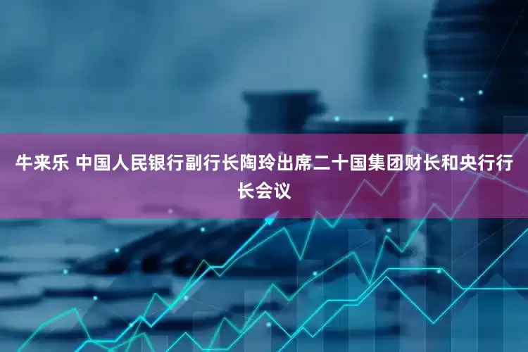 牛来乐 中国人民银行副行长陶玲出席二十国集团财长和央行行长会议