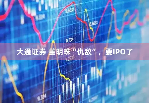 大通证券 董明珠“仇敌”，要IPO了