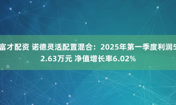 富才配资 诺德灵活配置混合：2025年第一季度利润52.63万元 净值增长率6.02%